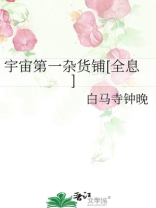 宇宙第一杂货铺[全息]