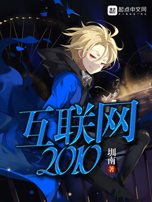 互联网2010 小说