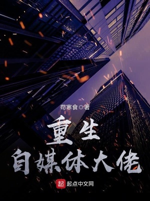 自媒体大佬排行榜
