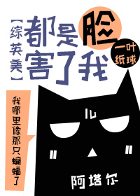 综英美 都是脸害了我