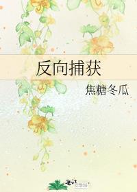 反向捕获百度云