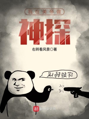 我在美漫当神探 小说