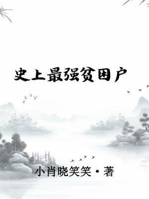 史上最穷女婿小说