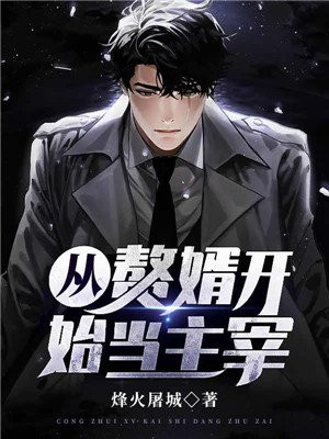 从赘婿开始无敌 小说