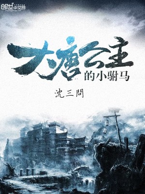 大唐公主小驸马小说