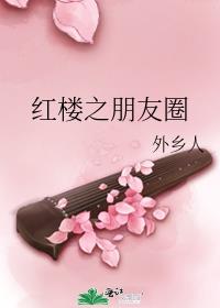 红楼之朋友圈格格党