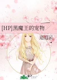 hp 不是黑魔王