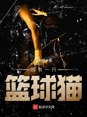 我有一个篮球