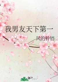 我男友天下第一作者:风的铃铛