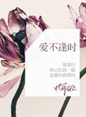 爱不逢时 百度云