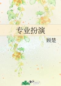 专业扮演小说