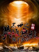 末世之英雄无敌类似的小说