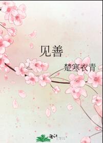 见善小说