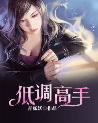 低调高手 青狐妖 小说