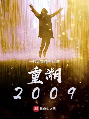 重溯2009TXT下载