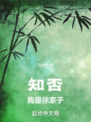 知否:我是徐家子TXT下载