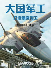 大国重工打造最强侧卫小说