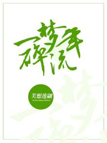 梦碎流年小说