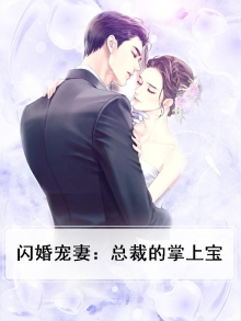 闪婚宠妻:总裁的掌上宝