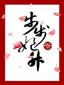 步步惊心后妃路