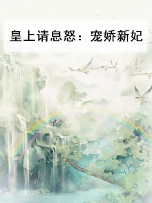 皇上请息怒:宠娇新妃