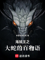 海贼大蛇无双小说