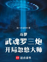 斗罗:武魂罗三炮,开局忽悠大师小说