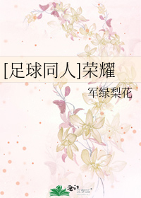 [足球同人]荣耀