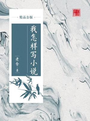 我是怎样写那种小说的