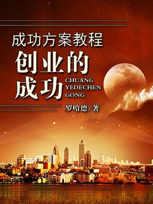 大智慧成功方案教程--创业的成功