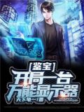 鉴宝:开局一台万能显示器