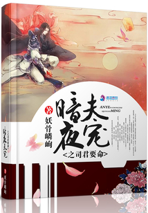暗夜夫宠司君夺命