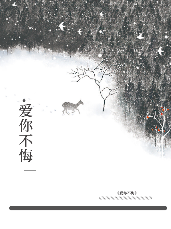 爱你不悔的模样是哪首歌的歌词