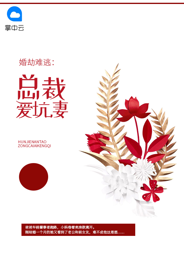 婚劫难逃:总裁,请负责 小说
