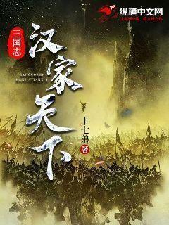 三国志:汉家天下 小说