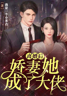 离婚后娇妻她成了大佬