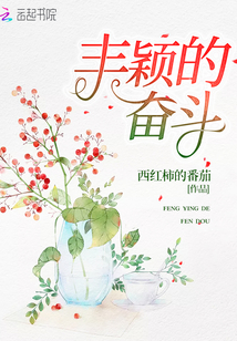 丰颖的奋斗