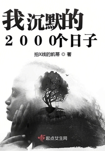 我沉默的2000个日子是什么歌