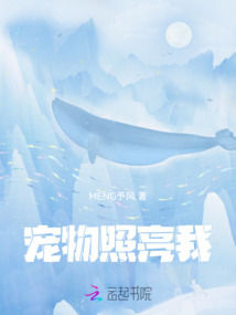 宠物照亮我