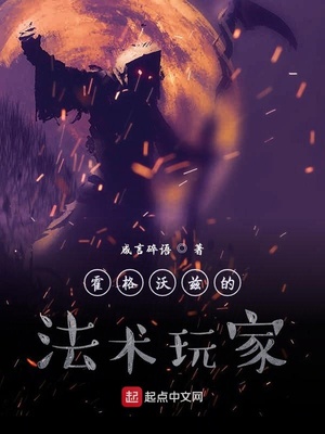 霍格沃兹的法术玩家txt