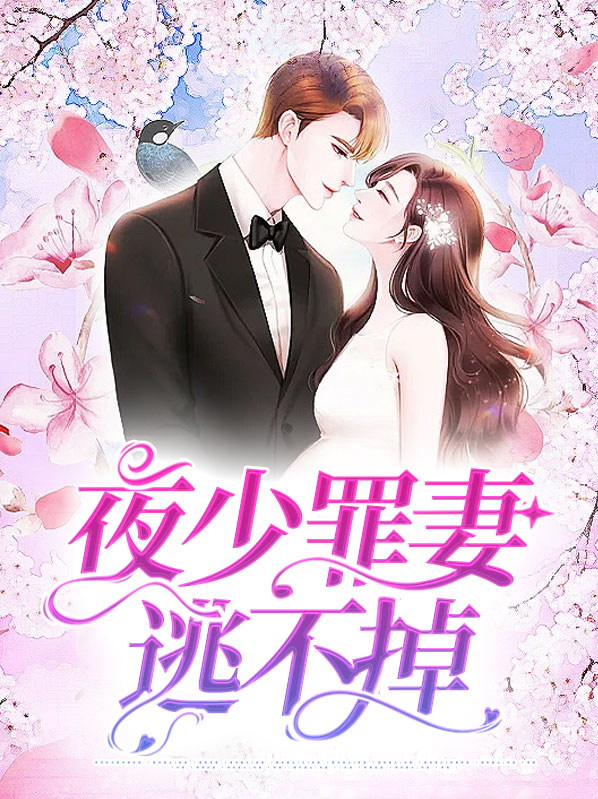 夜少锁婚小说全文免费连裁