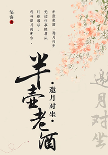 半壶老酒什么意思
