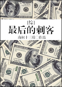 《最后刺客》结局