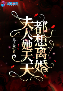 夫人她天天都想离婚百度网盘