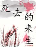 死去的来生