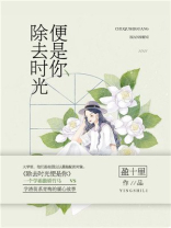 除去时光便是你全文免费阅读
