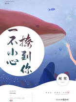 一不小心撩到你全本免费观看电视剧