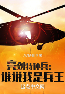 亮剑特种兵:谁说我是兵王 小说