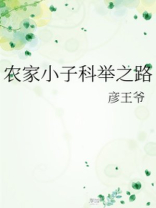 农家小子科举之路txt