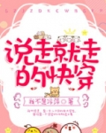说走就走的快穿